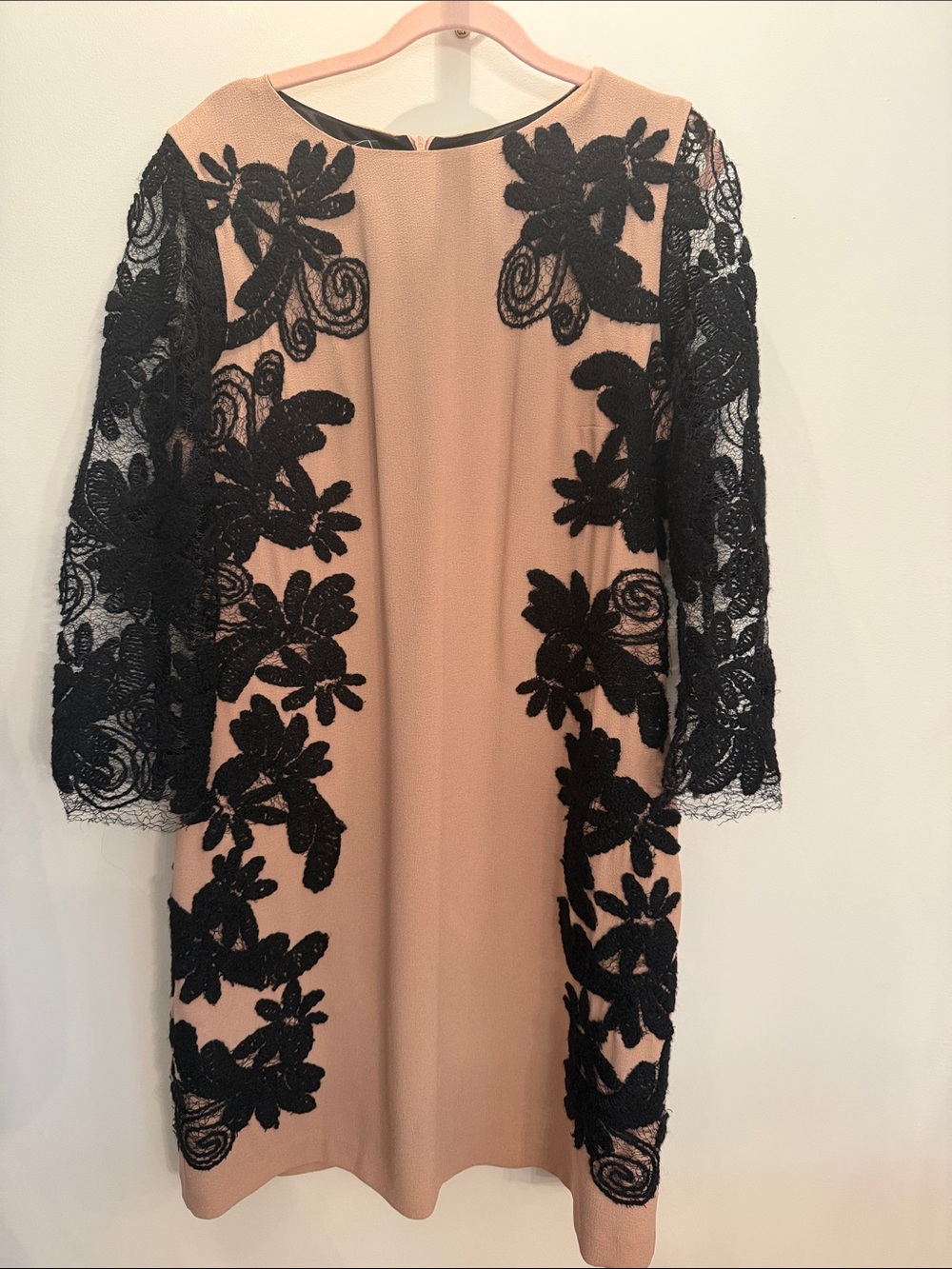 ALL ACCESS Blush Sheath Dress with Black Lace Appliqué